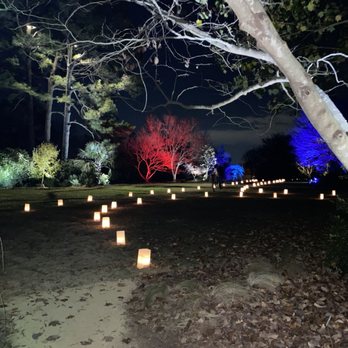 JC Raulston Arboretum - This was one of the illuminated walking paths - Botanical Gardens Near Me - Raleigh, North Carolina JC Raulston Arboretum - This was one of the illuminated walking paths - Botanical Gardens Near Me - Raleigh, North Carolina