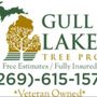 Photo of Gull Lake Tree Pro
