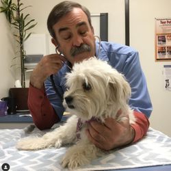 Daniel Vanderhoof, DVM - Josie's annual check up with Dr. Vanderhoof