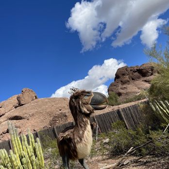 Phoenix Zoo - Zoos Near Me - Phoenix, Arizona Phoenix Zoo - Zoos Near Me - Phoenix, Arizona