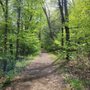 Photo of Massacoe State Forest
