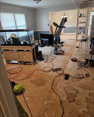 Many requests, and we can take care of all your needs here at From Door to Floor, LLC - Contact us through our web site FromDoorToFloor.com or email us at Support@fromdoortofloor.com for a free in home estimate.