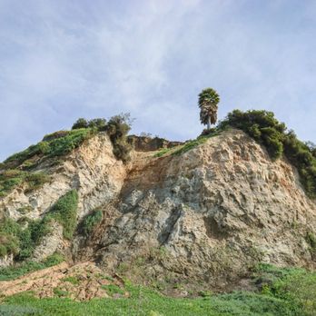 Malaga Cove Beach - Beaches Near Me - Palos Verdes Estates, California Malaga Cove Beach - Beaches Near Me - Palos Verdes Estates, California