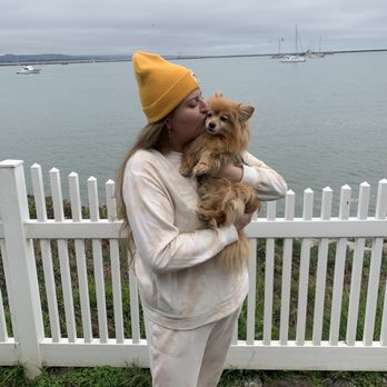 Inn at Mavericks - Teddy and mama - Hotels Near Me - Half Moon Bay, California Inn at Mavericks - Teddy and mama - Hotels Near Me - Half Moon Bay, California