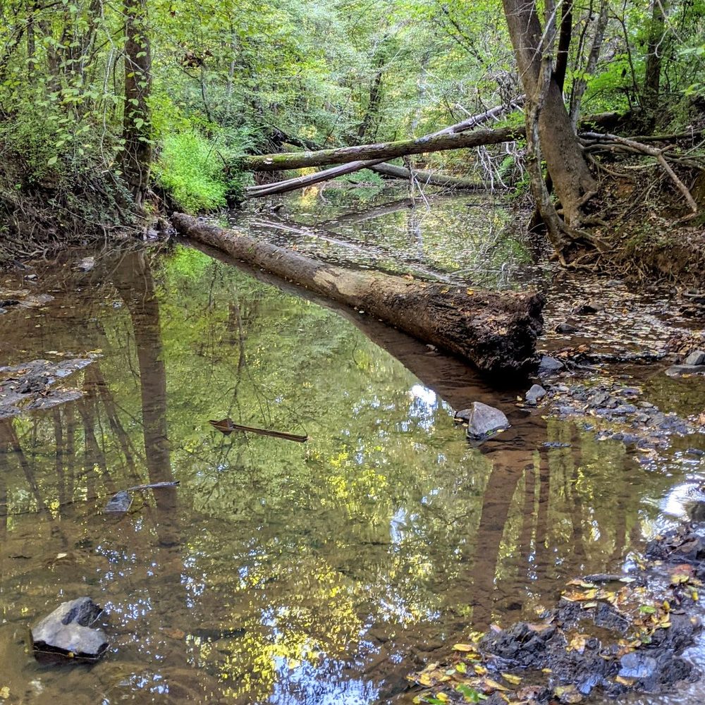 Idlewild Road Park - Instagram: @telephonesmoothie - Parks Near Me - Matthews, North Carolina Idlewild Road Park - Instagram: @telephonesmoothie - Parks Near Me - Matthews, North Carolina