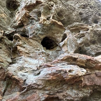 Natural Bridge Sky Lift - Cool formations - Active Life Near Me - Stanton, Kentucky
