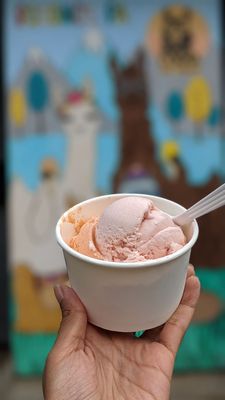 Llama Ice Cream by null