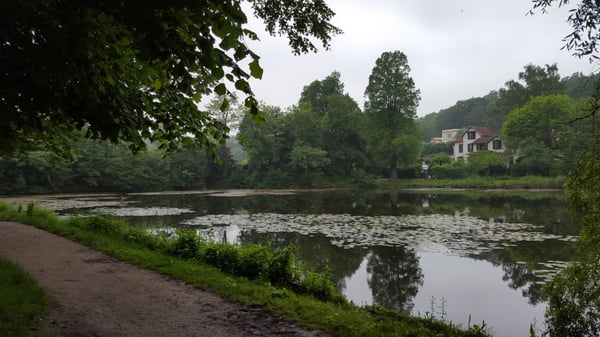 Restaurant gastronomique étoilé Michelin - Le Corot by null