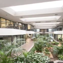 Capital Area Counseling - Inside, you will find this lovely temperature-controlled atrium with beautiful foliage and comfortable benches.