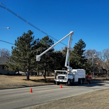Chris's Tree Service - Tree Services Near Me Chris's Tree Service - Tree Services Near Me