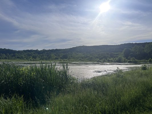 James River State Park by null