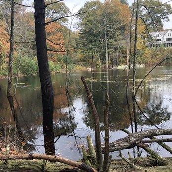 Charles River Tree Company - Beaver pond - Tree Services Near Me