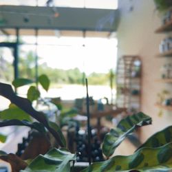 KindFolk Apothecary + Wellness