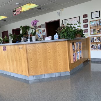 Rosedale Veterinary Hospital - Veterinarians Near Me - Bakersfield, California Rosedale Veterinary Hospital - Veterinarians Near Me - Bakersfield, California