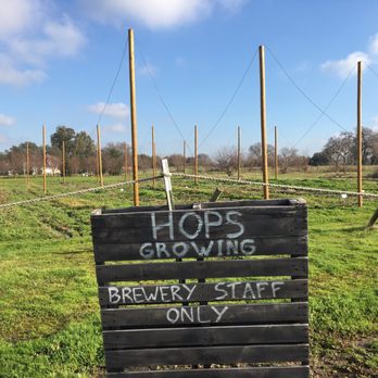 GoatHouse Brewing Co - Good use of pallet signs - Breweries Near Me - Lincoln, California GoatHouse Brewing Co - Good use of pallet signs - Breweries Near Me - Lincoln, California