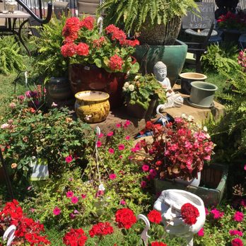 The Garden Bug - Outdoor Furniture Stores Near Me - Detroit, Michigan