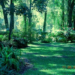 View of Gardens