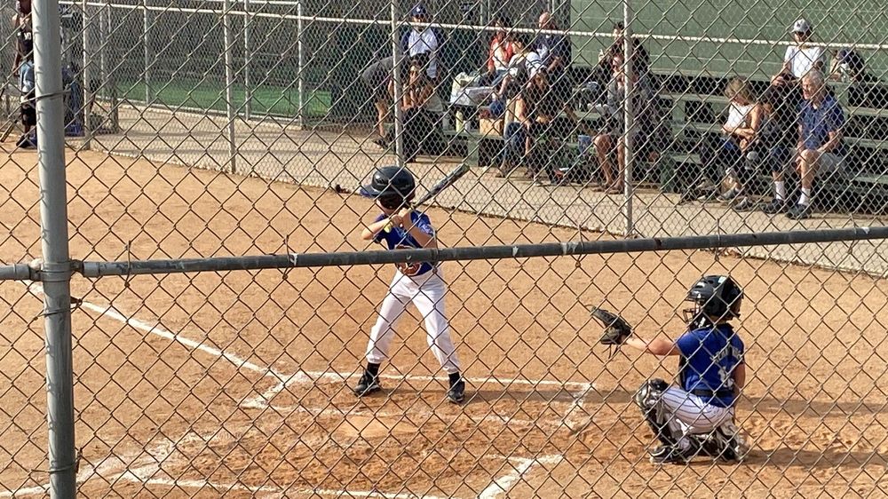 North Venice Little League Logo