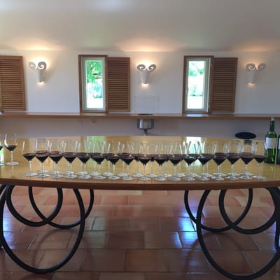 Château Mouton Rothschild by null