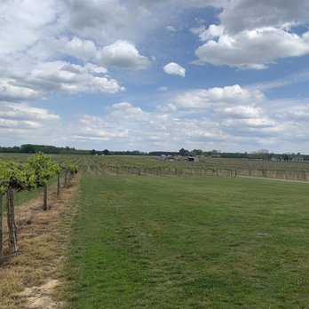 Hinnant Family Vineyards - Wineries Near Me - Pine Level, North Carolina Hinnant Family Vineyards - Wineries Near Me - Pine Level, North Carolina