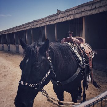 Smoke Tree Stables - Such a beauty! - Horseback Riding Near Me - Palm Springs, California Smoke Tree Stables - Such a beauty! - Horseback Riding Near Me - Palm Springs, California