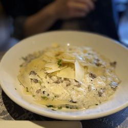 PortaBella