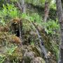 Photo of Réserve Naturelle Géologique de Haute Provence