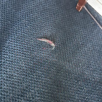 Coral Reef Inn & Suites - Mystery rug goober - Hotels Near Me - Alameda, California Coral Reef Inn & Suites - Mystery rug goober - Hotels Near Me - Alameda, California