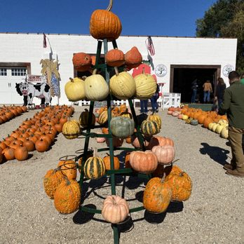 Jollay Orchards - a display of pumpkins - Farmers Market Near Me - Coloma, Michigan