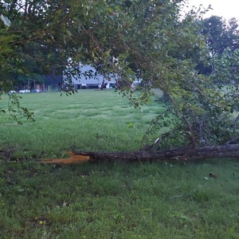 Clark Tree Service - 2024 tornado damage - Tree Services Near Me