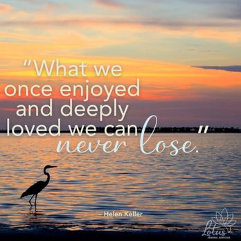 Lotus Funeral Services - Cremation Services Near Me - Palm Coast, Florida Lotus Funeral Services - Cremation Services Near Me - Palm Coast, Florida