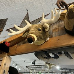 Grapevine Market - A "stuffed" plush mount; too funny!