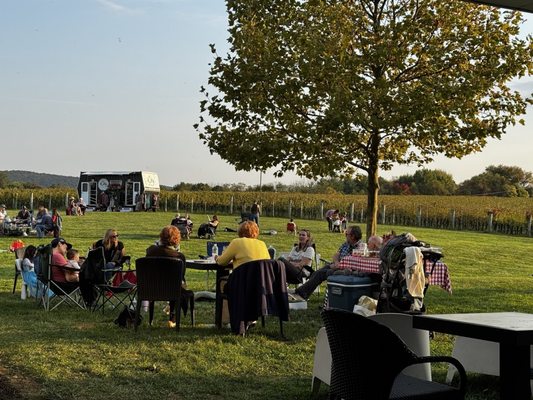 Big Cork Vineyards by null