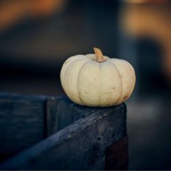McDonald's Greenhouse & Corn Maze - Fall is in the air!