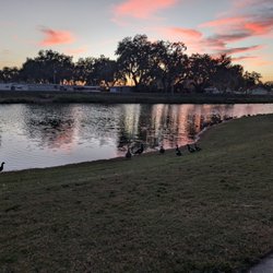Zephyr Park & Waterplay