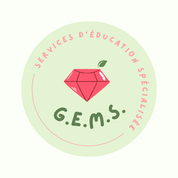 G.E.M.S Service