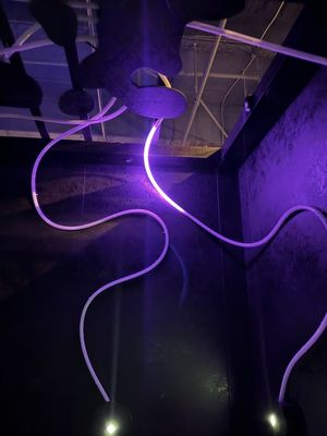 Level99 Tysons by null