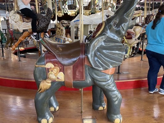 Coolidge Carousel by null