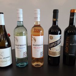 Naples Society Wine Bar - Iberian Peninsula Wines tasting lineup