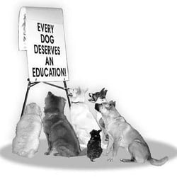 Dog Obedience Group of Jax - Where dogs send their owners to be trained!