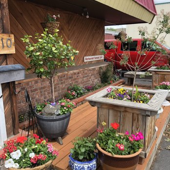 Thai Crystal - Beautiful potted plants outside to greet you! - Thai Near Me - Pendleton, Oregon