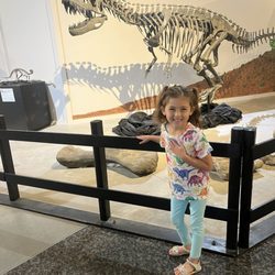Museum Western Colorado Dinosaur Journey