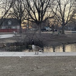 Braden Park - Little walking trail around