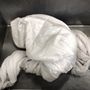 Photo of So Fresh N So Clean Laundromat