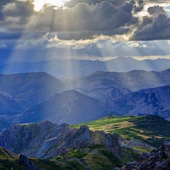 Angelic Healing Powers - Life Coach: Oracle & Tarot Readings Or Energy Healing & Clearing. - Reiki Near Me Angelic Healing Powers - Life Coach: Oracle & Tarot Readings Or Energy Healing & Clearing. - Reiki Near Me
