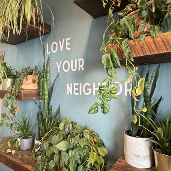 Teleo Coffee - inside - Coffee & Tea Near Me - Kirkwood, Missouri
