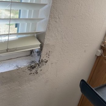 DiBlasi Restoration - mold coming through walls - Damage Restoration Near Me