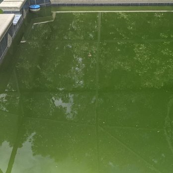 Pinch A Penny - Day 1 (pre-chemicals) - Hot Tub & Pool Near Me - Winter Springs, Florida