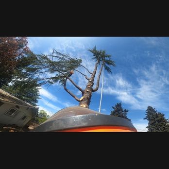 Tree Titans - Tree Services Near Me - Grants Pass, Oregon Tree Titans - Tree Services Near Me - Grants Pass, Oregon