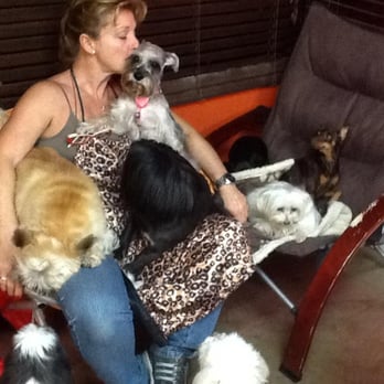 Pet Poodle - Helen with the doggie day care gang. - Pet Sitting Near Me - Miami, Florida
